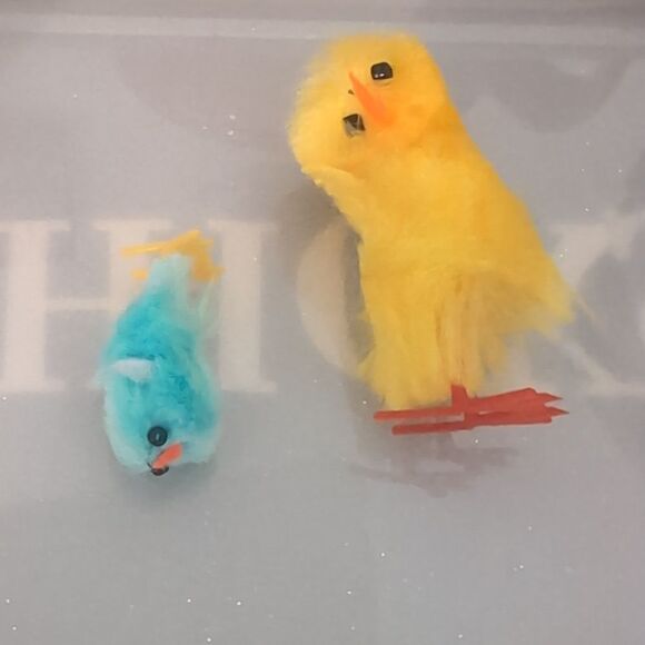 Baby Chicks with‎ Case Great for Craft Projects - Picture 5 of 5